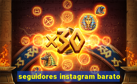seguidores instagram barato